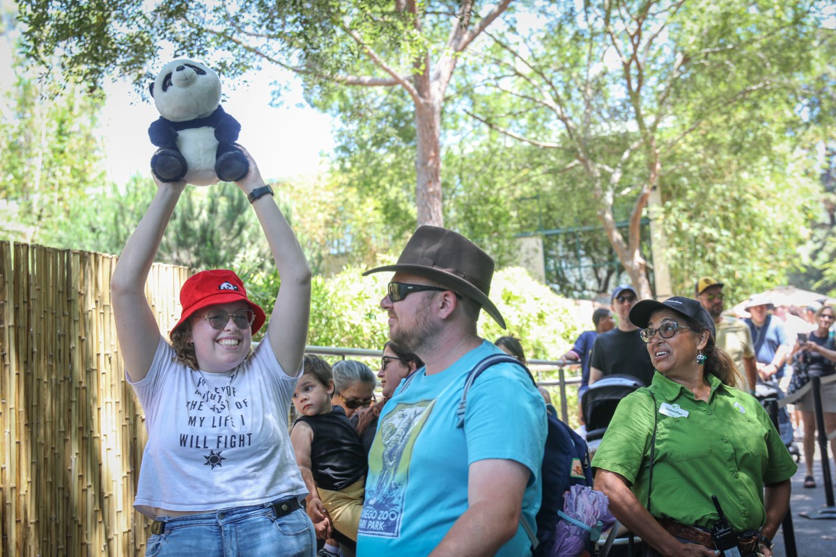 بالصور- كاليفورنيا تستقبل أول حيواني باندا تعيرهما الصين لواشنطن منذ 21 عاما